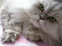 Charlie