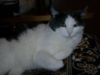 Leopold