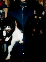 Musya & Tema