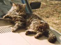 Oska