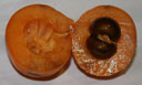 Мушмула (loquat) внутри