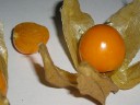 Физалис (physalis) внутри