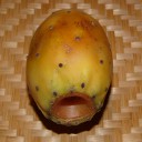 Тин шоуки (teen shouki) снаружи