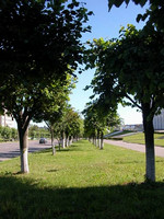 Alley near the White House
© 2003 Lianess