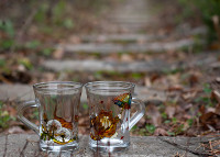 Cats Cups
(glass painting, 2013)