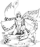 Moth
(graphics, 2006)