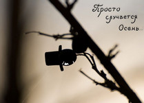 Просто случается осень…