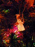 Chrystal Angel