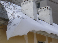 Снежный язык