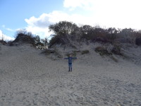 2022.10.12 The Curonian Spit is, first of all, a h-uuu-uge a heap of sand, whole dunes! 🙌