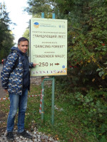 2022.10.12 Указываю на указатель на Танцующий лес как на туристско-экскурсионный маршрут в 250 метрах от меня.