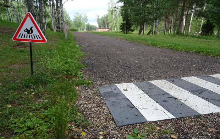 Pedestrian Squirrel Crossing (Dobrograd, Kovrov district, Vladimir region, Russia)