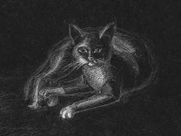 Чёрный кот 
(белый карандаш, 2003)