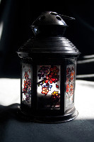 Japanese Lantern 
(glass painting, 2013)