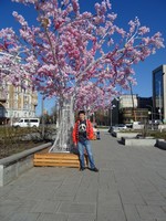 2018.04.29 This spring in Moscow artificial sakura trees are seemed to be planted everywhere, including the Turgenev's Square.