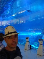 2018.06.01 In the giant glass wall of the Dubai Mall aquarium there are storeys of the trade center reflecting, and inside it there are fishes swimming.