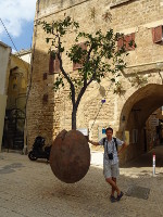 2018.09.10 That “Floating Orange Tree” by Israeli artist Ran Morin in the Old Jaffa (Tel Aviv), which is actually stunted and more like a tangerine tree.
