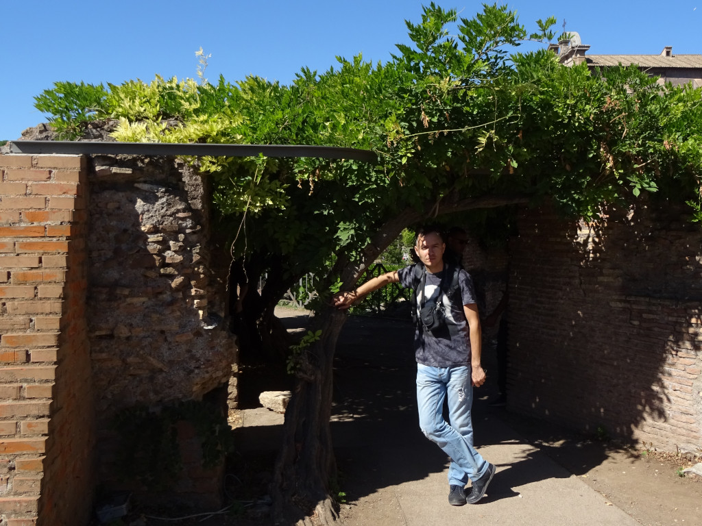 2019.10.04 In the shade of the greenery of the ancient Roman ruins, more exactly, of the Roman Forum.